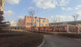 开源嘉苑爆料事件最新情况,真相与争议交织，各方势力角逐正酣”