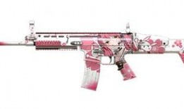 和平精英最新爆料女生ID