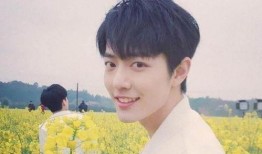 杨紫肖战最新消息爆料,合作新剧引期待，幕后故事曝光！